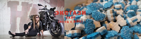 прущие грибы Мегион
