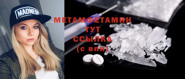 прущие грибы Мегион