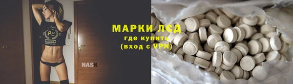 прущие грибы Мегион