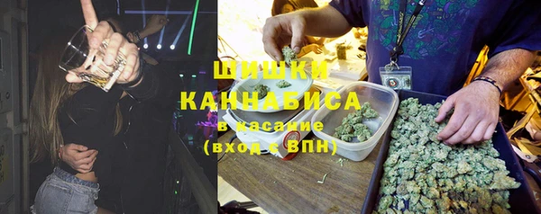 дурь Медвежьегорск