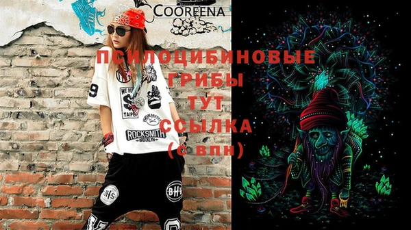 прущие грибы Мегион
