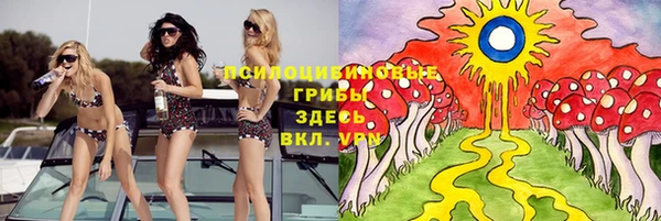 дурь Медвежьегорск